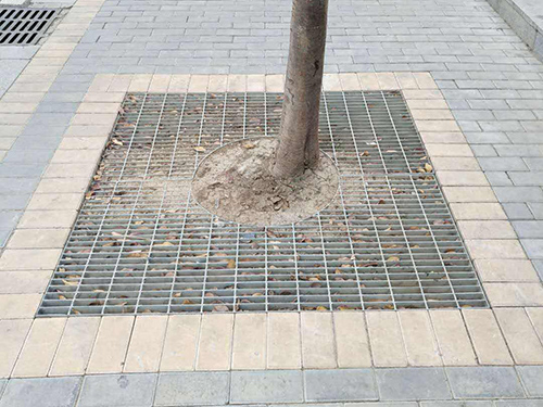 樹(shù)池蓋板圖片2