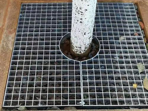 樹(shù)池蓋板圖片4